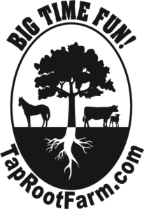 Tap Root Farm Equestrian Program